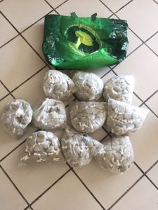 IMG-20170623-WA0035