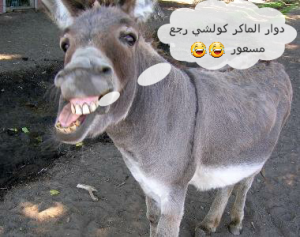 PicsArt_08-10-05.49.00