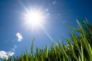 climat5_478863864