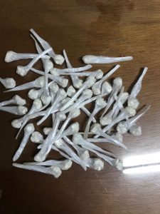 IMG-20170916-WA0001