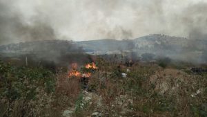 IMG-20171017-WA0019