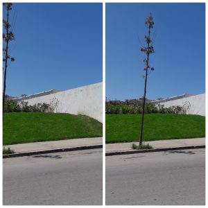1534259172775