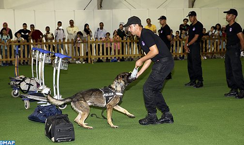 Marrakech-DGSN-brigade-cynotechnique_M-504x300