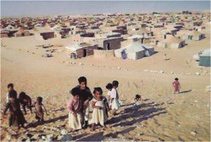tindouf101