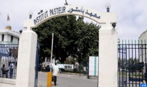 institut-pasteur-1-504x300