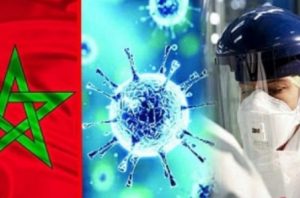 files (3)