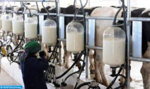 production-lait-504x297-1-504x297