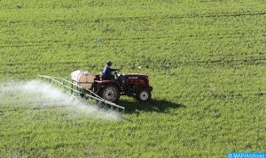 agriculture-2-504x300