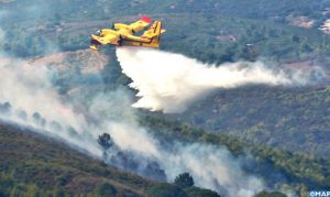 Feu-de-forêt.jpg-2020-504x300