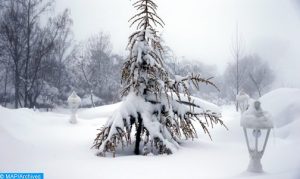 Chutes-de-neige-504x300