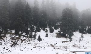 neige-3-504x300