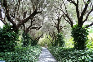 Marrakech-Jardin-écologique-Anima-M-ECOLOGY