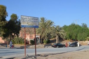 hama1_940748725