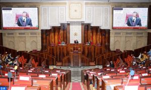 malki-2-504x300