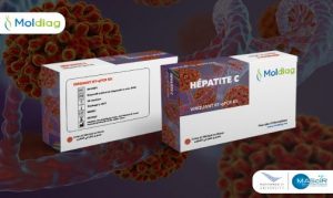 hepatitC_Mascir-504x300