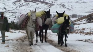 maxresdefault-1024x576-1