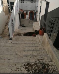 IMG-20220129-WA0004
