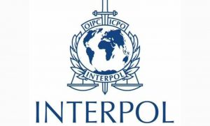 5edf53055518d_interpol_2-3522237-780x470.jpeg