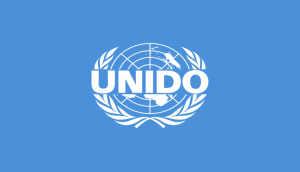 ONUDI-696x463