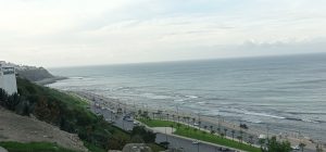 IMG_20221116_010444
