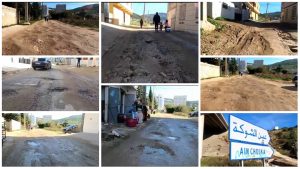 PhotoCollage_1671487865884