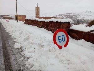 FB_IMG_1676709247257