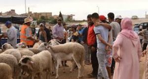 images (4)