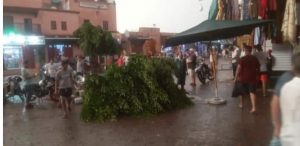 IMG-20230811-WA0011