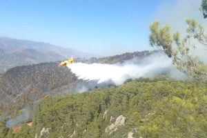 2caSans-titre-23