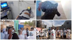 PhotoCollage_1696978324399