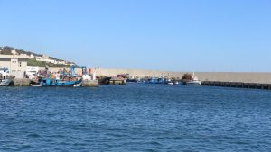 port-tqngerr (1)