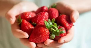 La-fraise-bien-plus-quun-fruit-un-allie-pour-votre-sante--950x500