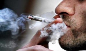 cannabis-cause-suspicion