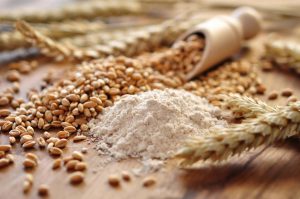 grain_cereale_ble_tendre