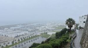 images (5)