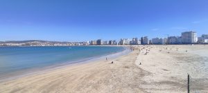 IMG_20240504_153617