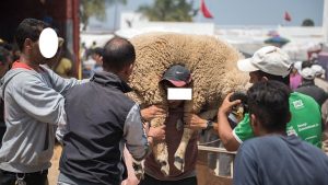 IMG_20240615_141650