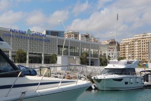 IMG_9854