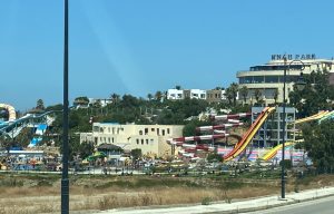 IMG_4923