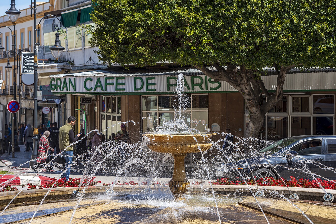 DSC8867-copie