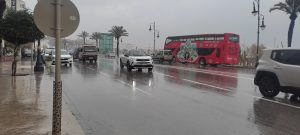 IMG_20240309_150859