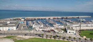 IMG_20241013_141707