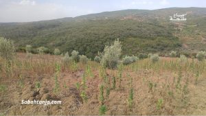 img_1729169604013
