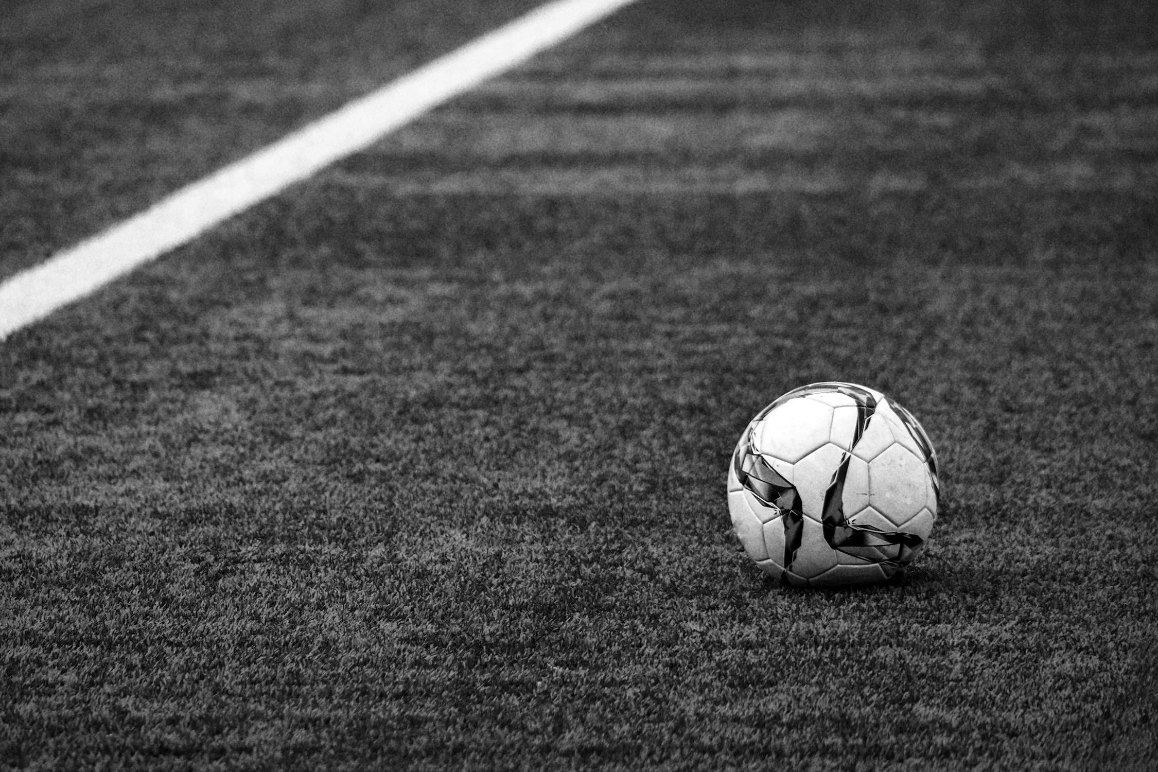 pexels-photo-274506-01