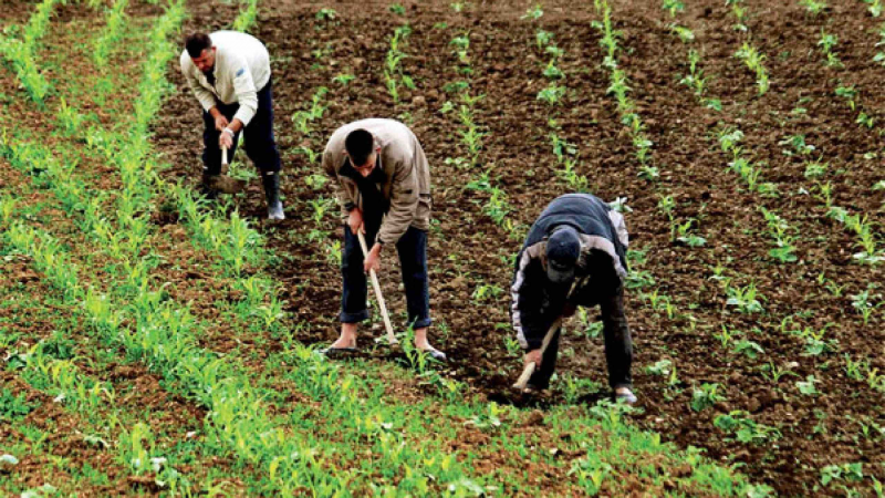 emploi_rural
