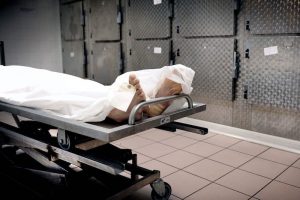 morgue-copie-6