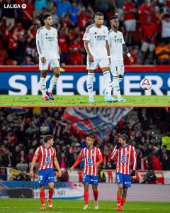 FB_IMG_1739056579563