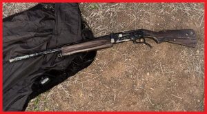 IMG-20250208-WA0198