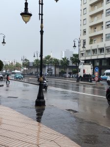 IMG_20250310_134252
