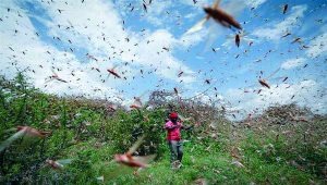 20204142218547218R